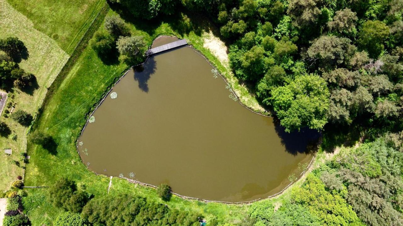 Agroturystyka Strzebielino Εξωτερικό φωτογραφία